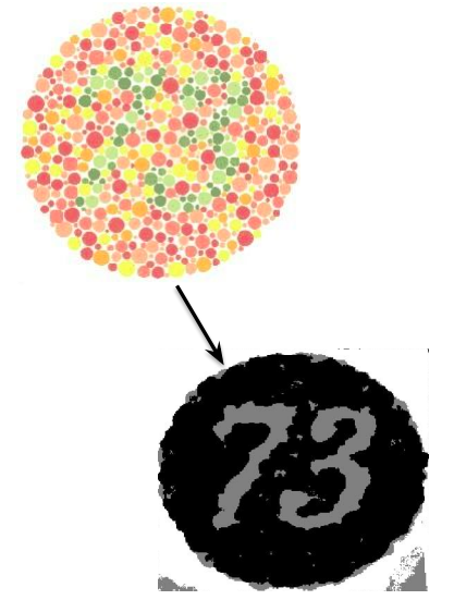 Image showing color filtering to shades of gray